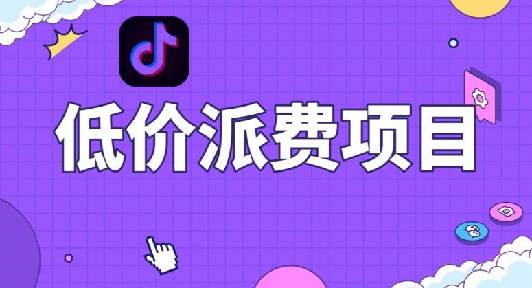 抖音低价派单项目，0门槛，日入1000+很轻松，小白可操作【揭秘】-云创网