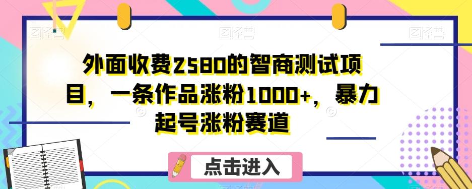 外面收费2580的智商测试项目，一条作品涨粉1000+，暴力起号涨粉赛道【揭秘】-云创网