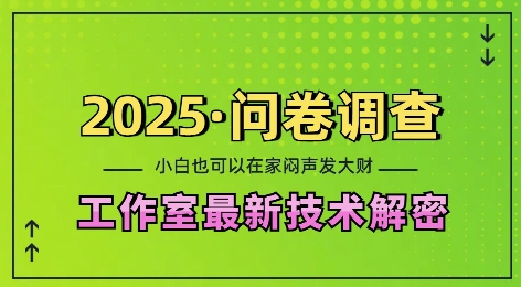 2025问卷调查最新工作室技术解密：一个人在家也可以闷声发大财，小白一天2张，可矩阵放大【揭秘】-云创网