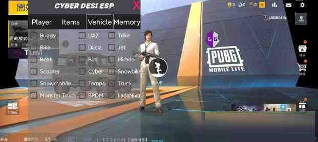 PUBG轻量老外裸奔绘制+自瞄 支持ROOT和框架 里面有全局离线-云创网