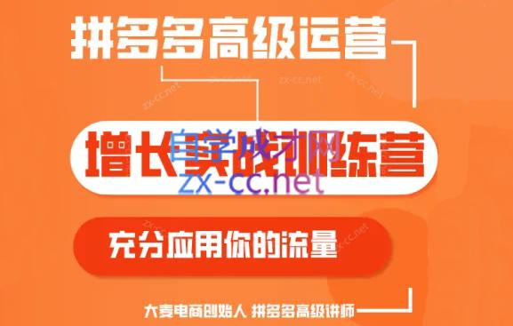 大麦老师·拼多多单品爆款打造课程(更新6月)-云创网