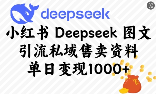 小红书Deepseek图文引流私域售卖资料，单日变现多张-云创网