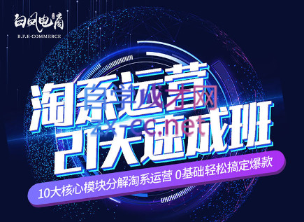 淘系运营21天速成班(更新24年6月)-云创网